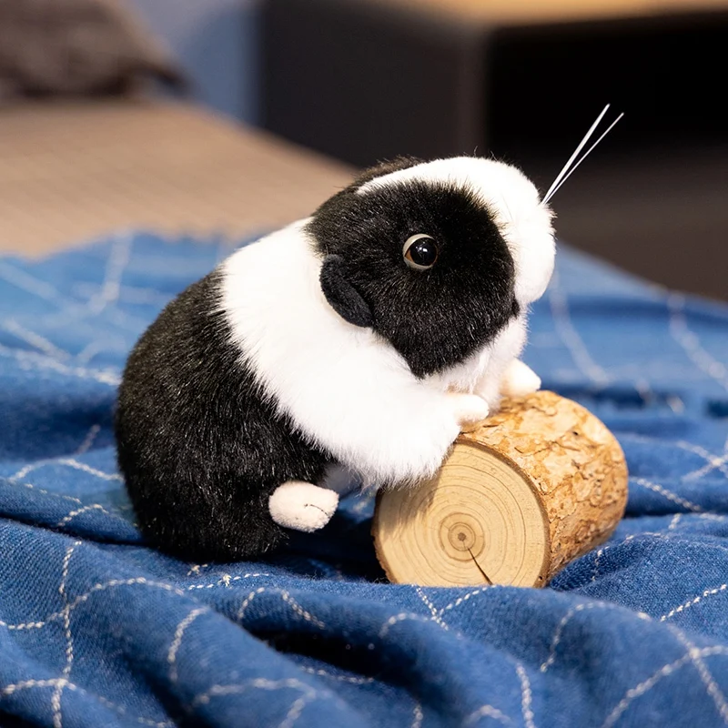 18 سنتيمتر خنزير غينيا لطيف ألعاب من نسيج مخملي Kawaii الهولندية خنزير ماوس محشوة دمية على شكل حيوان ديكور المنزل هدية عيد ميلاد عظيمة لصديق أو أطفال #4