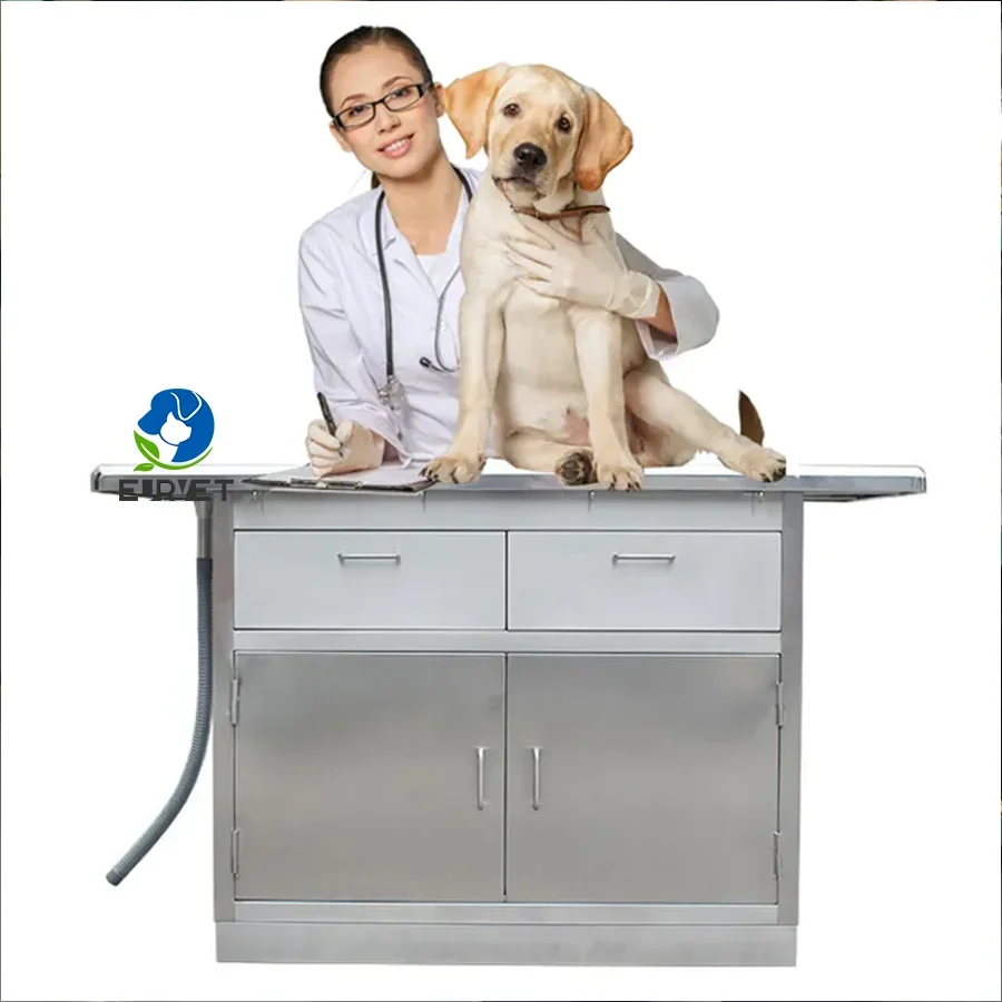 EUR VET On Sale Stainless Steel Pet Exam Table With Drawers Animal Diagnosis Platform Puppy Dog Treatment Disposal Cabinet