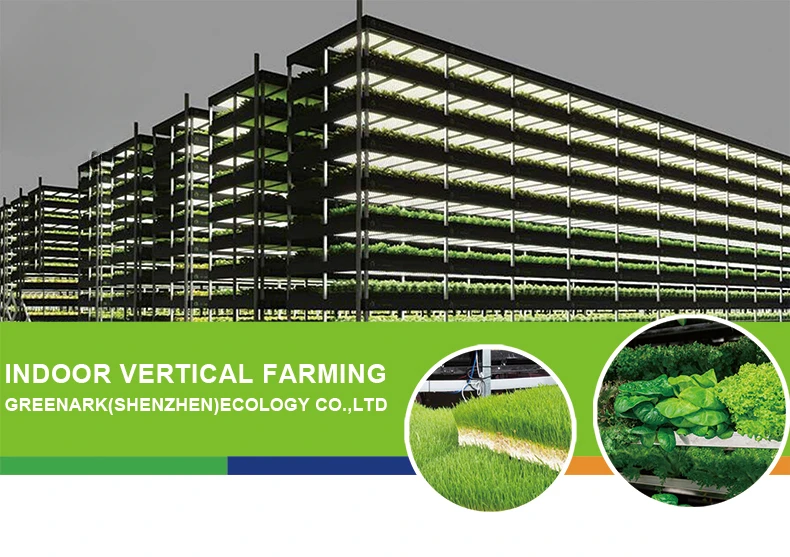 Vertical Agricultural Greenhouses Hydroponic Farming Smart Vertical Greenhouse