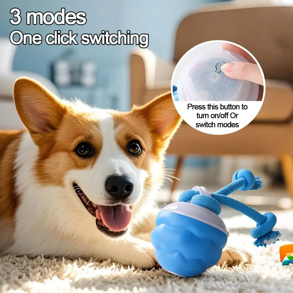 

Squeaky Pet Toy Balls USB Rechargeable with Touch Activated Interactive Dog Toys Rolling Ball Teething Knot Moving Dog Ball