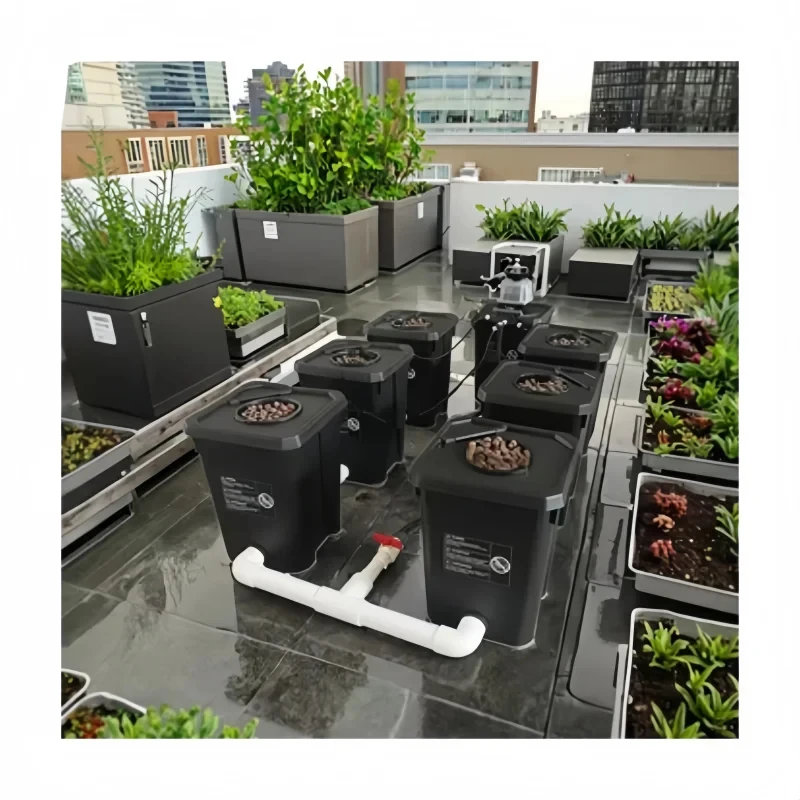 2025 Hydroponic Growing System Rdwc 6 Bucket Rdwc Automatic Irrigation Drop System 6 Units