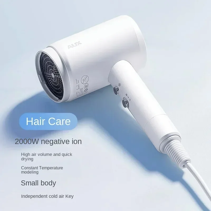 Sèche-cheveux haute puissance avec protection ionique, AUX, hommes et femmes, 220V