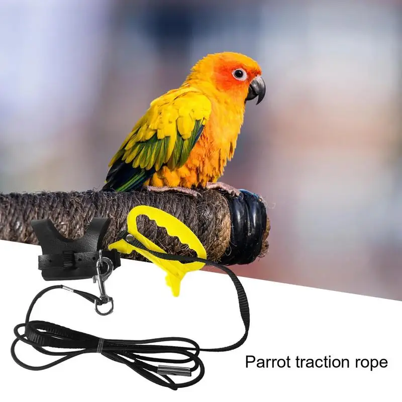 Parrot Harness Pet Parrot Adjustable Harness Anti Bite Training Harness Parrots Outdoor Flying Rope Cockatiel Small Birds Supply