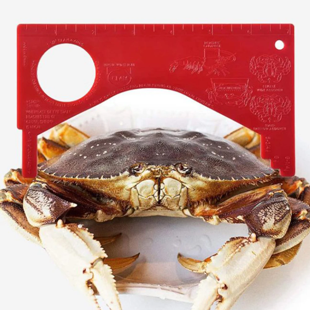 Stainless Steel and PE Castable Crab Trap with Foldable Snare Design Rope Bait Holder and Embedded Crab Measurement Tool