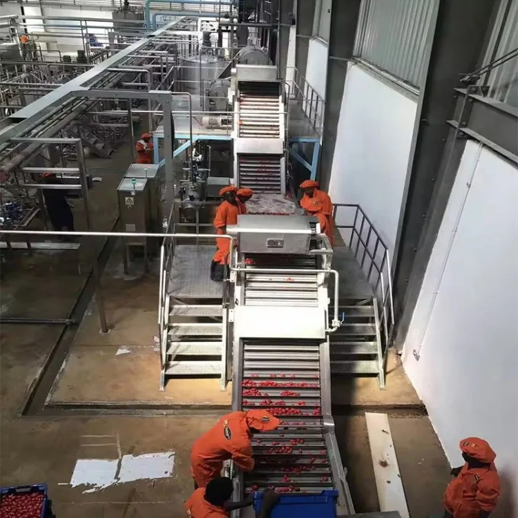 Automatic Concentrate Tomato Puree Factory/ Tomato Paste Processing Plant Production Machine