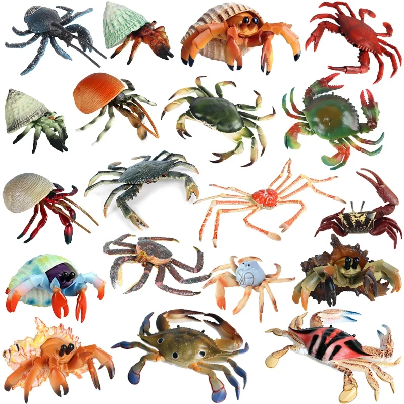 Simulation Ocean Aquarium Animal Crab Figurine Sea Life Hermit Coconut Crab Fiddler Crab Model Action Figure Children Toys