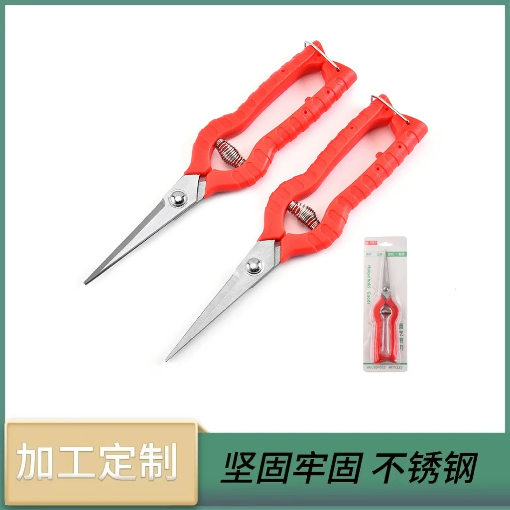 Stainless Steel Pru… - image