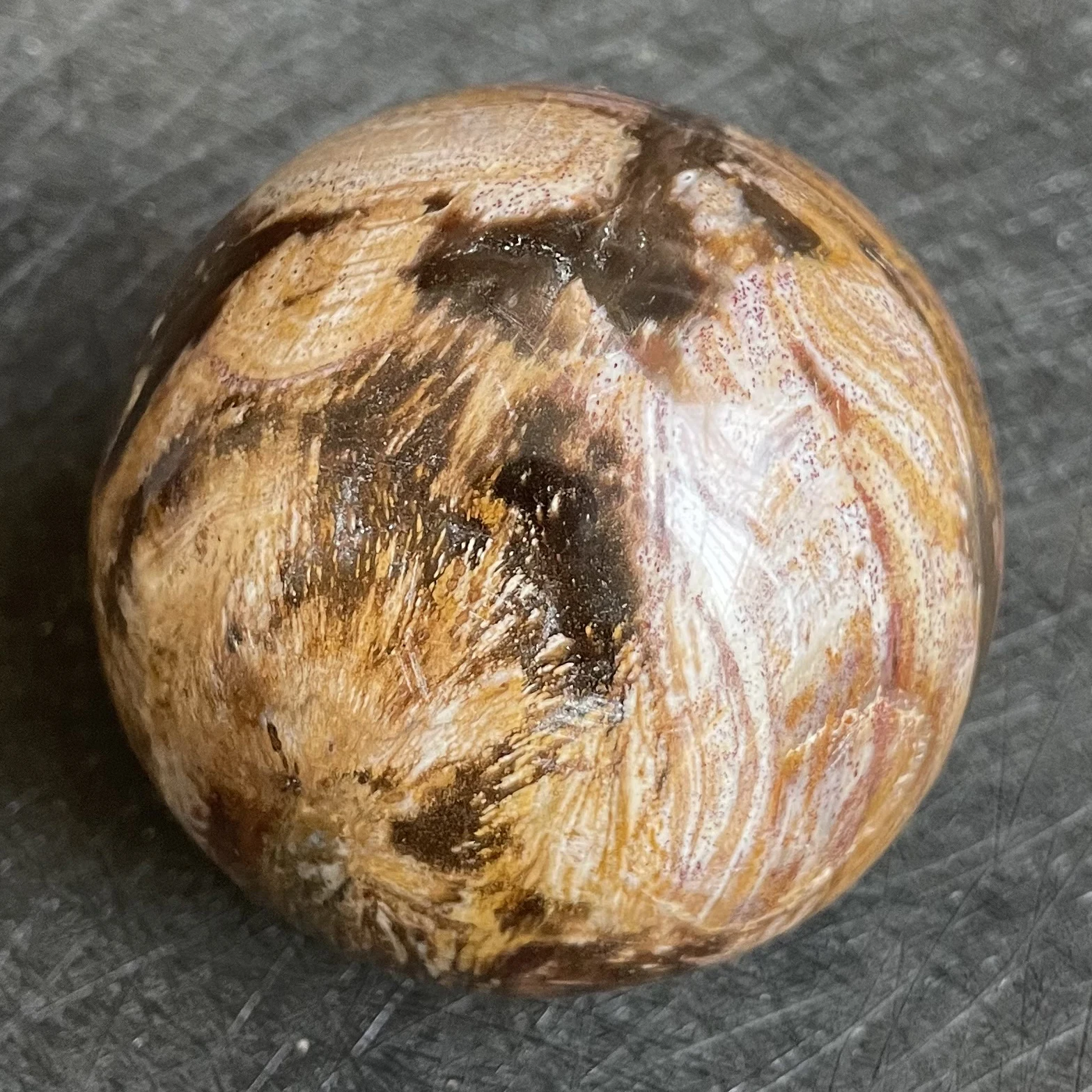 332g Natural Stone Petrified Wood Sphere Rock Polished Crystal Ball Quartz Feng Shui 2022 Decoration Gift Reiki Healing