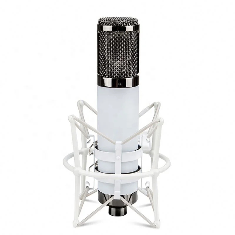 Professional Large Diaphragm Vocal Microphone For Studio Recording