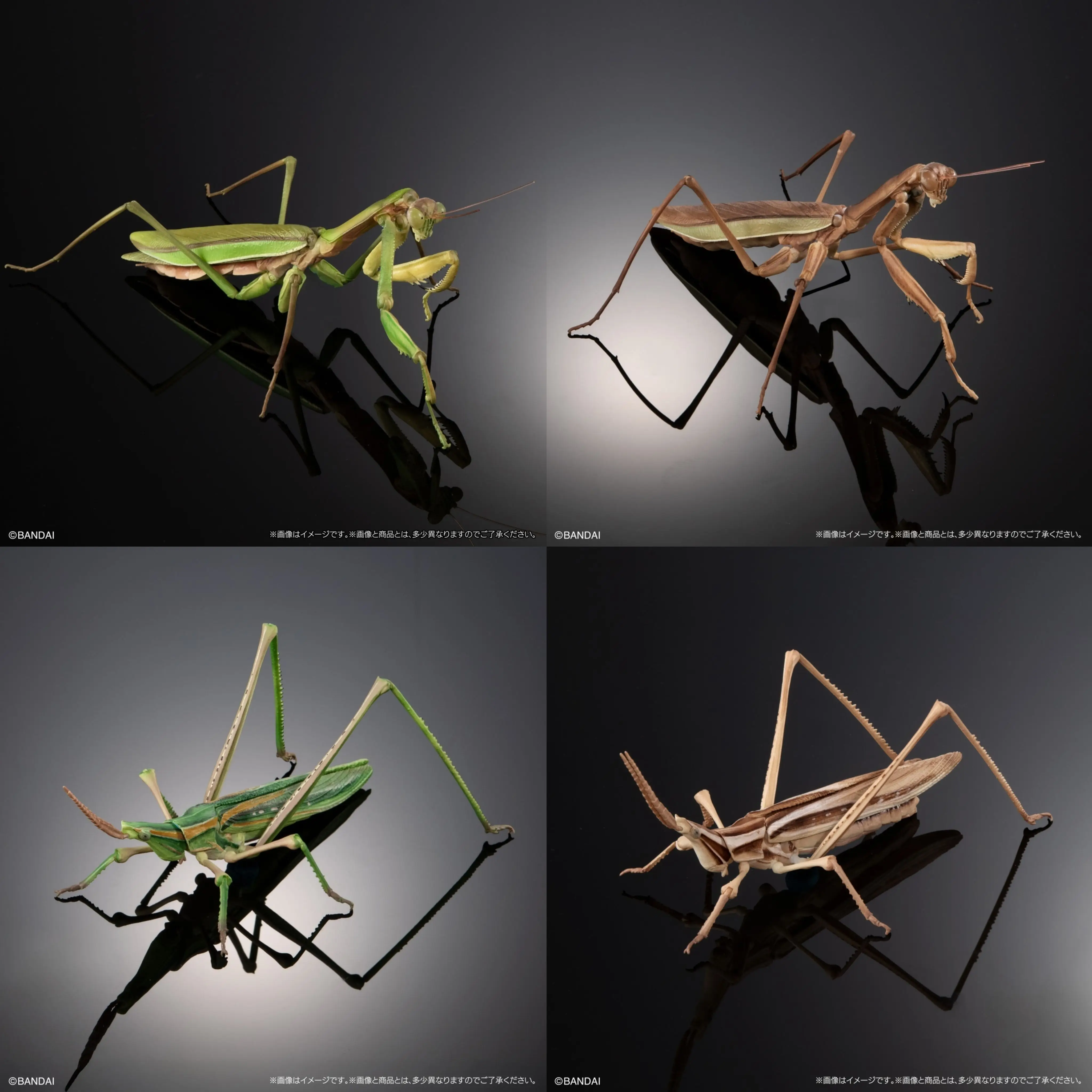 Bandai Biological Encyclopedia Action Figures Model Mantis Sword Horn Locust Gashapon Ornament Official Genuine Capsule Toys