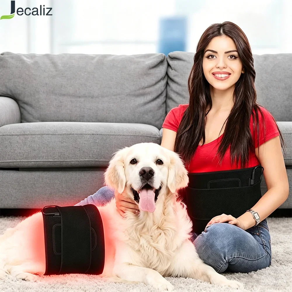 Veterinary Use Red Light LED Therapy Physiotherapy Equipment for Pet Dog and Human Pain Relief Pain Reduce 660nm 850nm