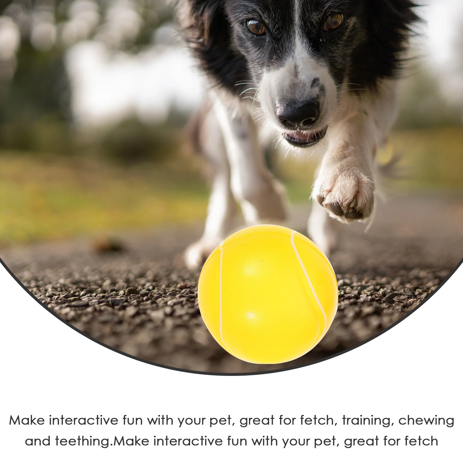 

4Pcs Durable Bounce Ball Elastic Set Interactive Dog Training Chewing Fetch Exercising Pet Supplies Dog Toy Pet Supplies