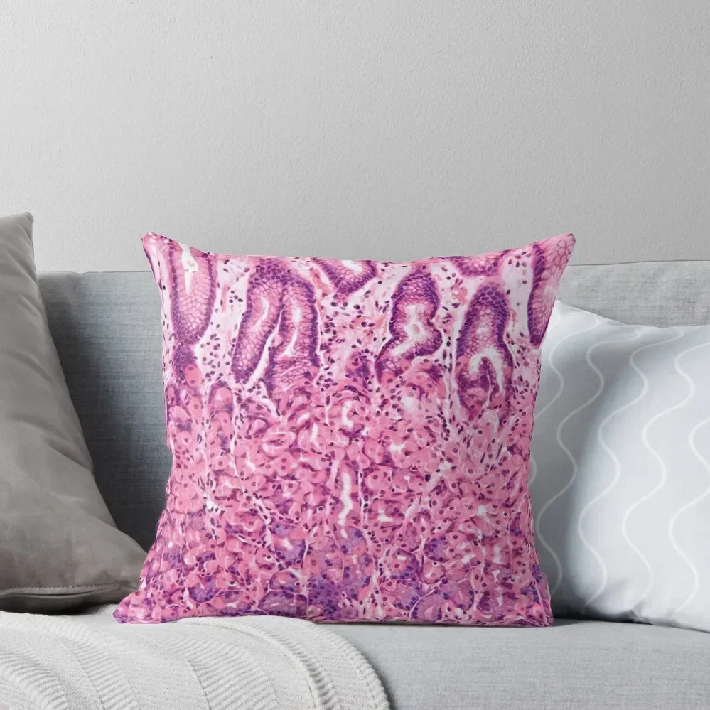 Stomach Histology Throw Pillow Cushion Cover Set pillow cover christmas Cusions Cover pillow