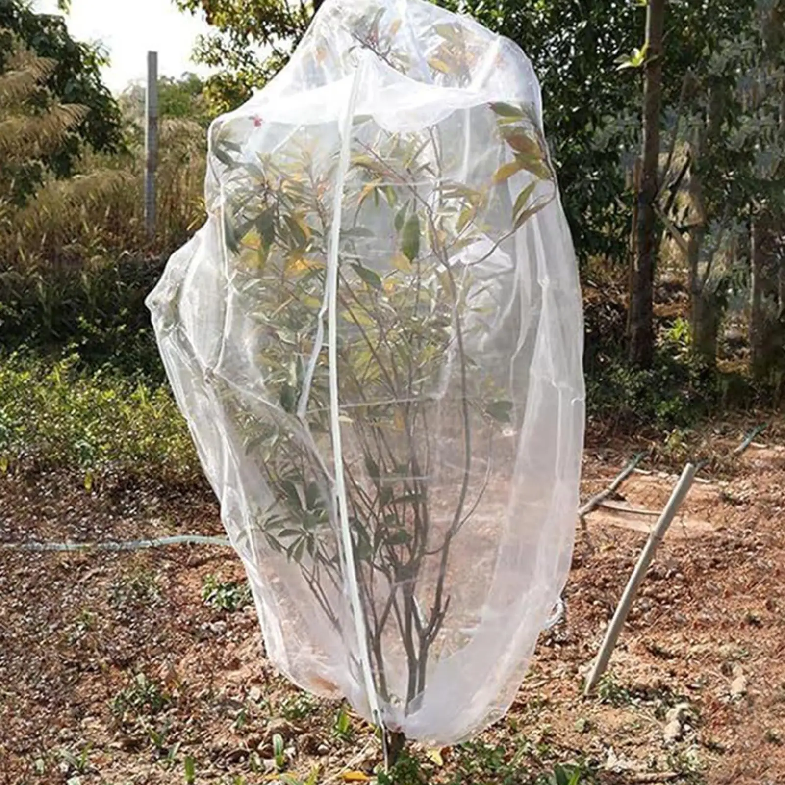

Large Fruit Tree Netting Garden Plant Protective Cover UV-resistant Weatherproof Tree Netting With Zipper And Drawstring For