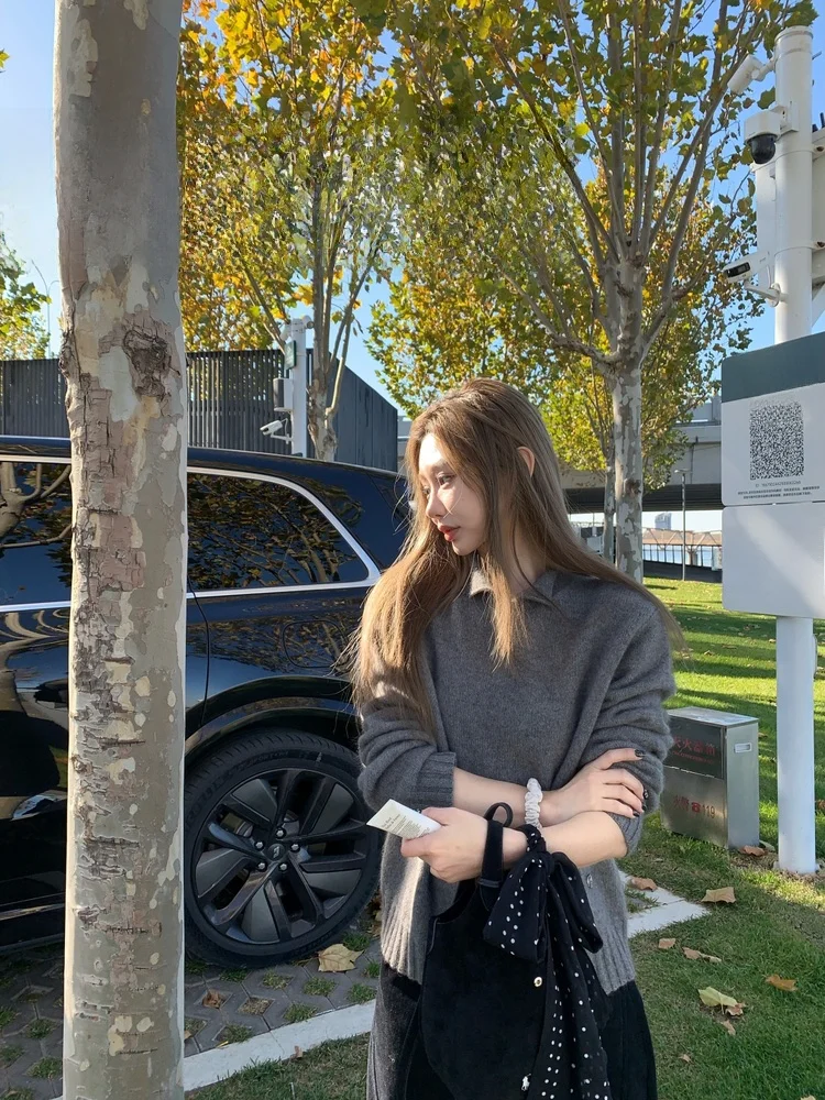 

Retro Loose Cisas Vibe Small Collar Sweater Women's Faion Blend Wool Nylon Fabric Warmth Casual Inner Wear by Tannin