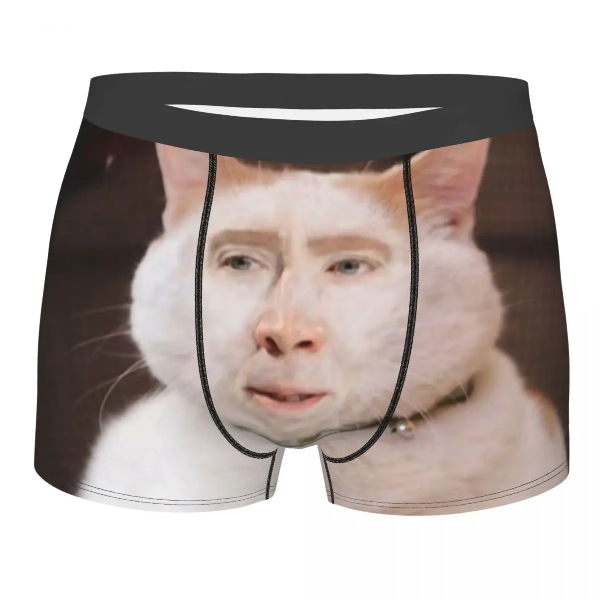 Nicolas Cage Cat Meme Boxer Shorts For Homme 3D Print Underwear Panties Briefs Soft Underpants