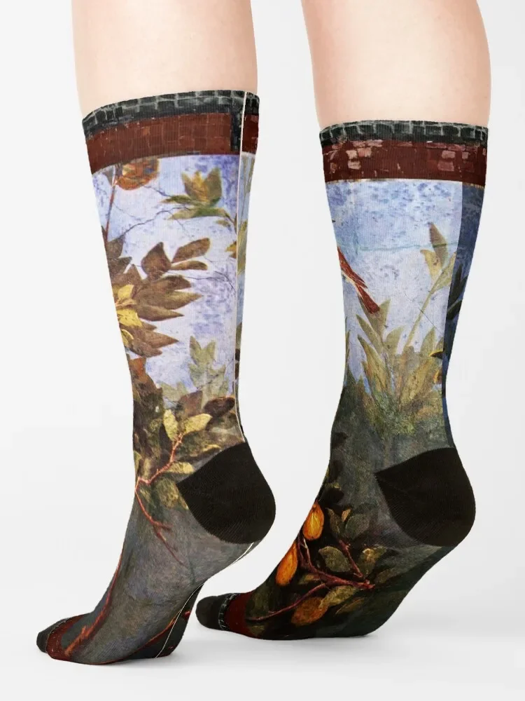 Calcetines sueltos de lujo para hombre y mujer, medias con pintura de pared romana antigua, flores, jardín, pájaros voladores, sobre árboles de madera, novedad