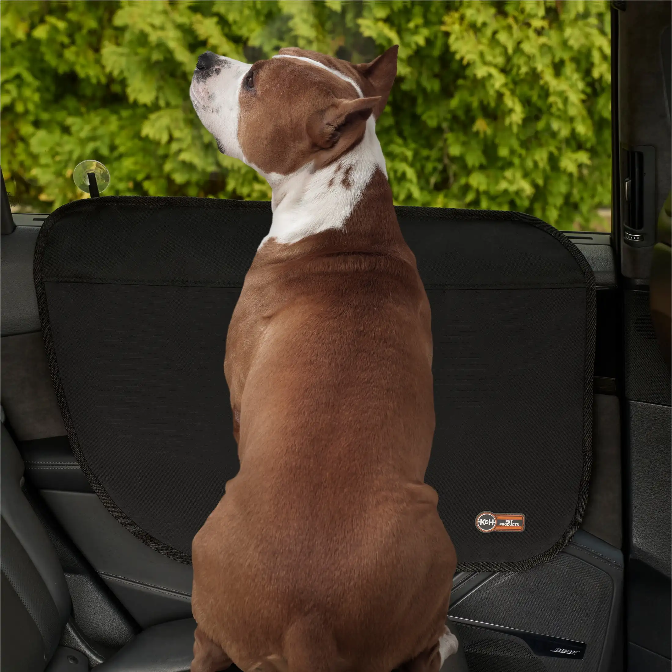 واقي باب السيارة أسود مقاس 19 × 27 بوصة