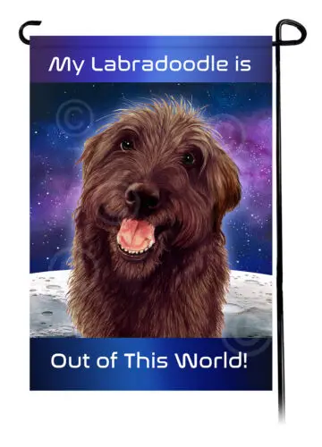 Labradoodle Shaggy Cut Out Of This World Garden Flag