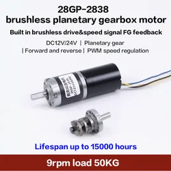 50KG 28MM 2838 Planetary Dear Brushless DC Reduction BLDC Motor 12v24v miniature adjustable speed forward and reverse 9-1200rpm