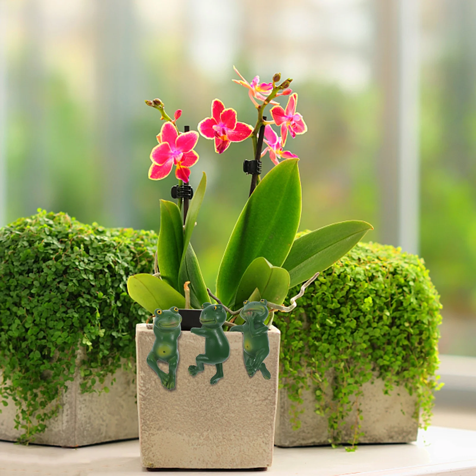 

3Pcs Frog Resin Plant Pot Hanger Ornament Durable Garden Decoration Flower Pot Bonsai Micro Landscape Miniature Animal Craft