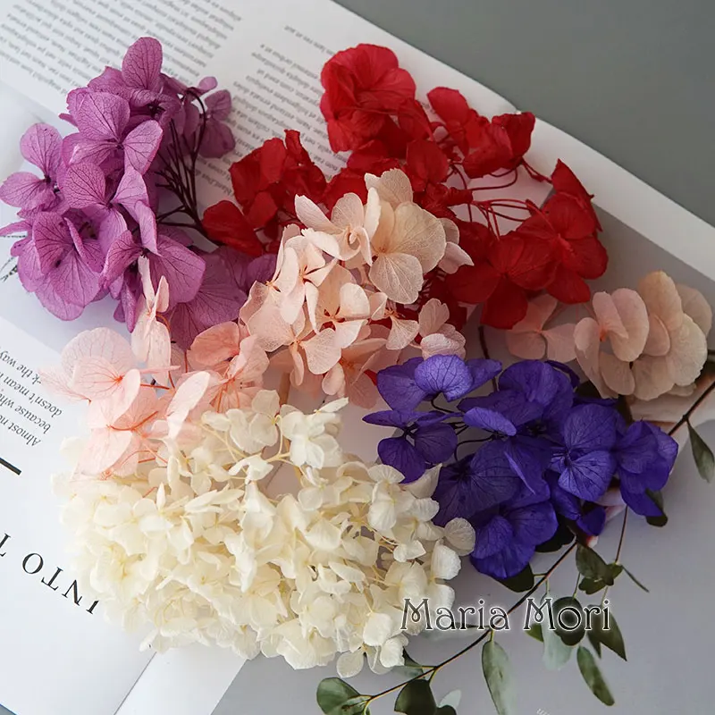 Big Petals Macrophylla Preserved Hydrangea Office Decor Preserved Flowers Home Decoration Anna Hydrangea Wedding Decoration