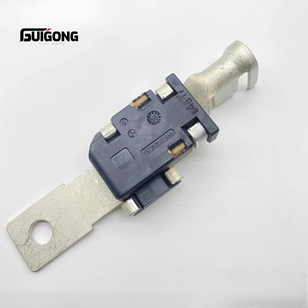 GUIGONG Battery Positive Terminal Fuse for Volvo S60 S80 XC60 V60 S80L S90 XC40 Battery Fuse Link