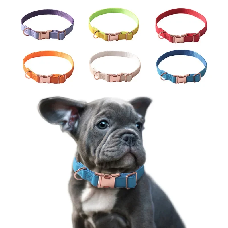 New Pet Collar PU Macaron Dog Collar With Webbing Rose Gold Soft Dog Collar