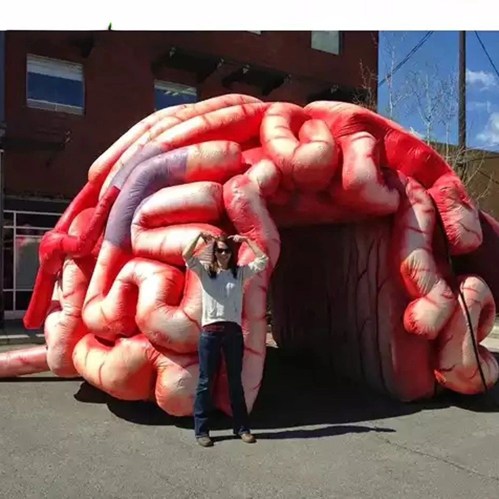 brain oxford   inflatable portable, inflatable, walk-through brain exhibit 4m /12ft height