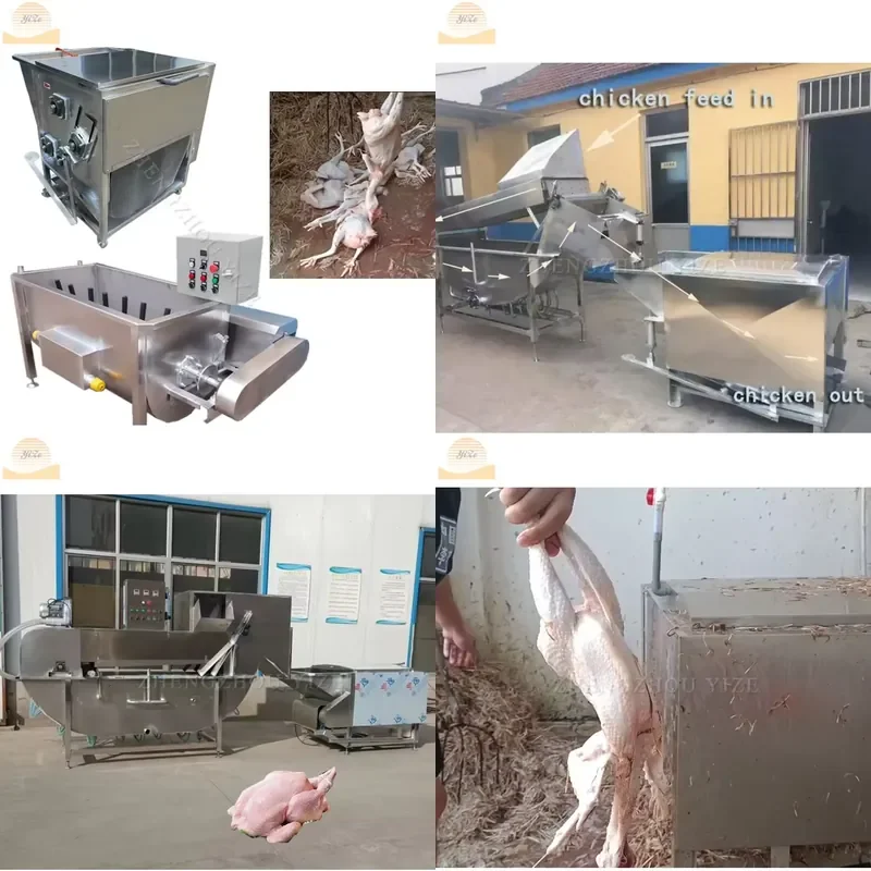 2026 Automatic Small Scale Poultry Slaughter Line House Plucker and Scalder Chicken Processing Plant Slaughtering Machine