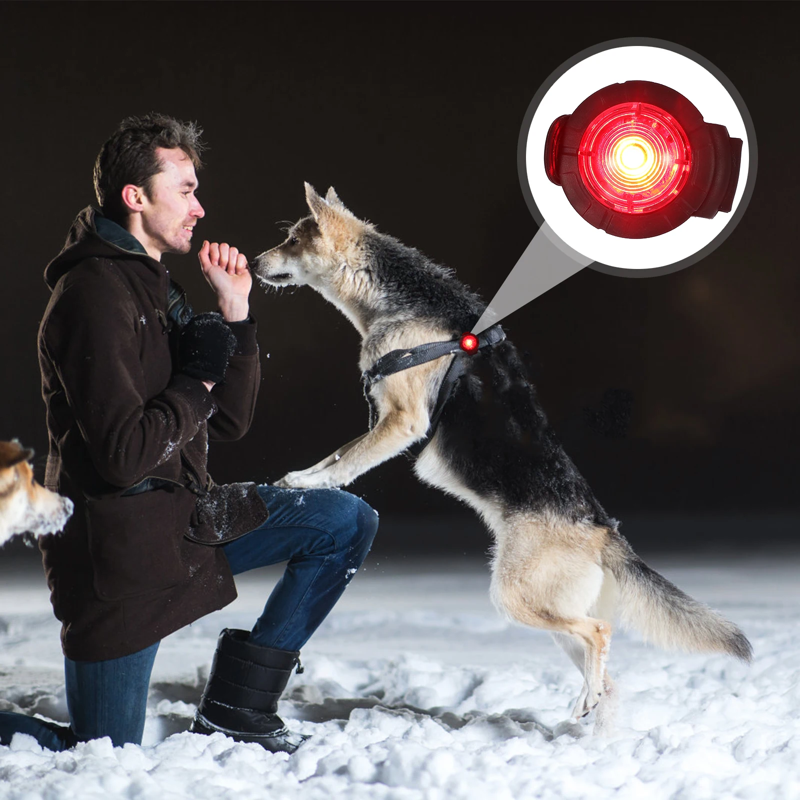 

Reinforced Night Walking Lamp Anti Lost Portable Dog Collar Durable Plastic Pet Supplies Outdoor Cat