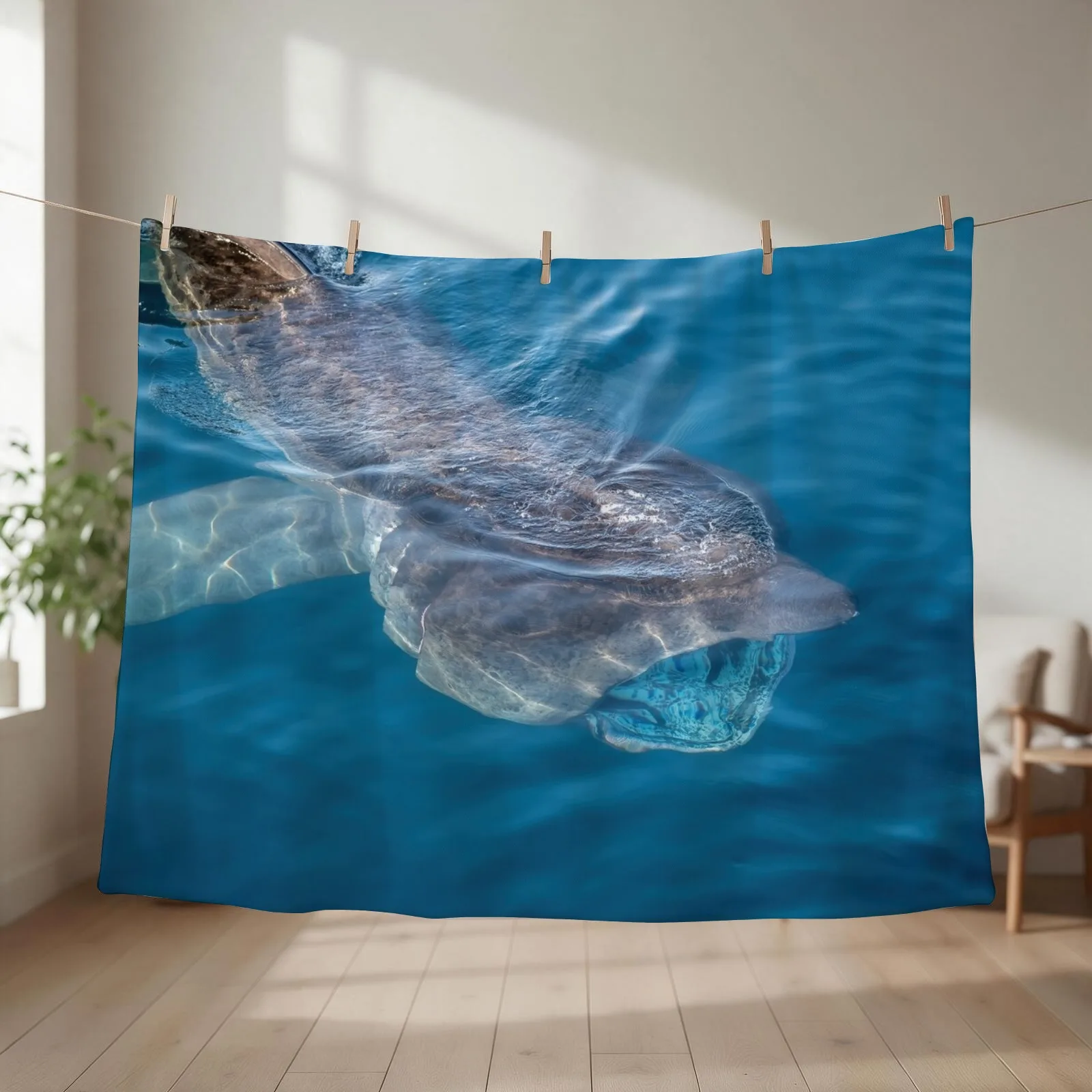 Basking Shark, West Cork, Ireland Throw Blanket Furrys halloween Soft Plaid Travel Blankets