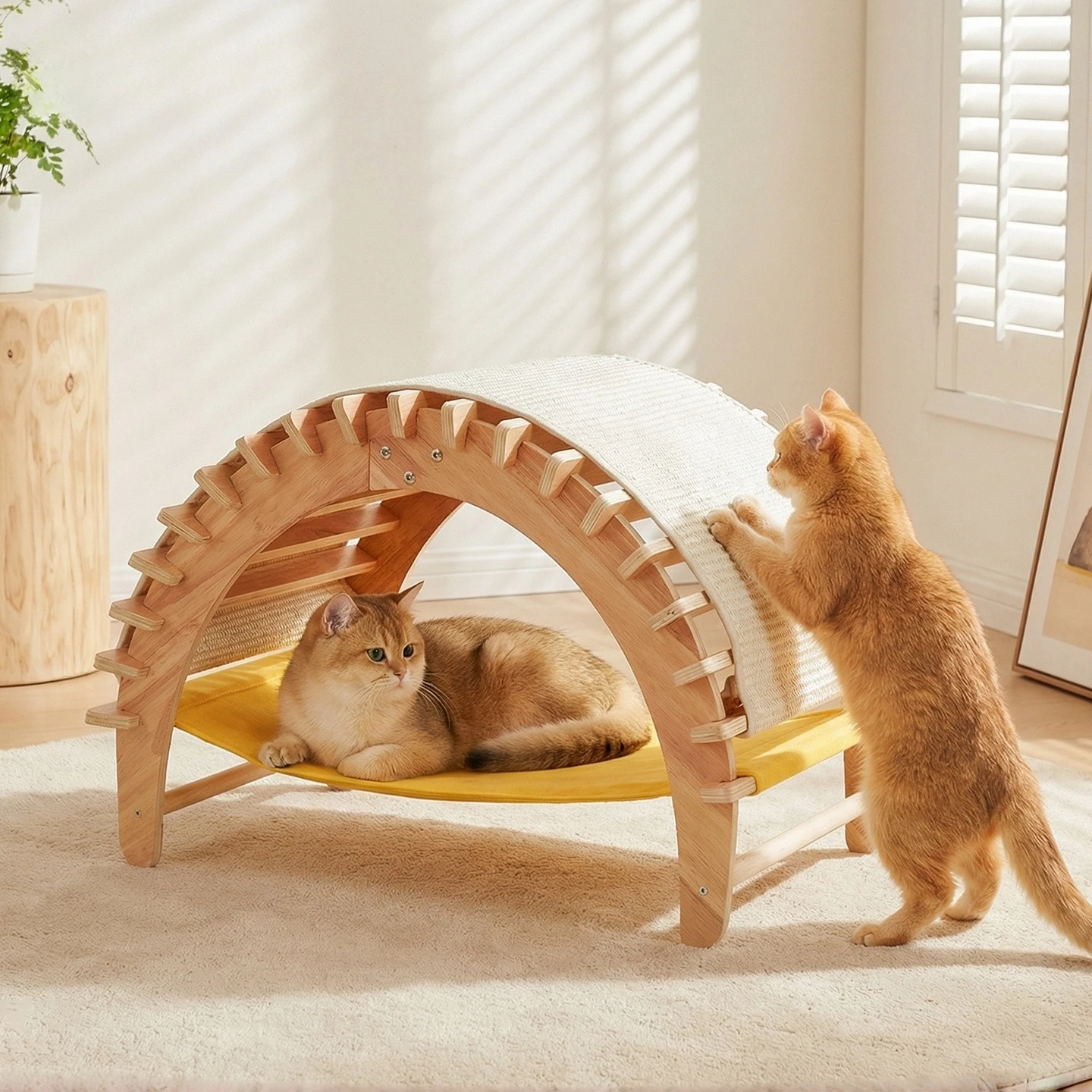 Solid wood cat nest four seasons universal big cat special outdoor portable cat scratching board
