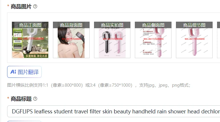 DGFLIPS leafless student travel filter skin beauty handheld rain shower head dechlorination household bathroom nozzle