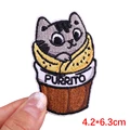 PE7343CT