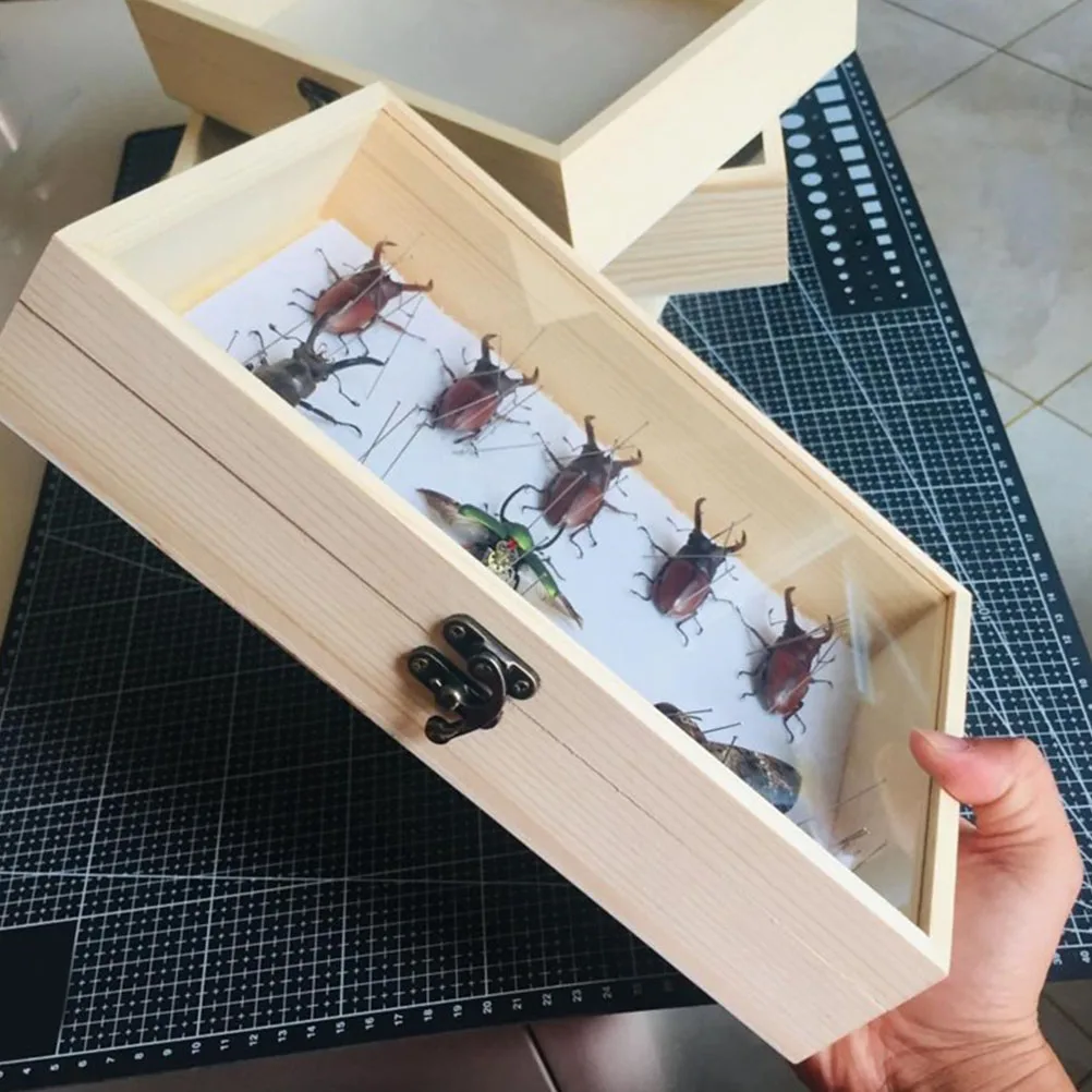 

Dustproof Storage Box Insect Display Case Butterflies Specimen Wooden Frame Transparent Lid Item Storage Solution