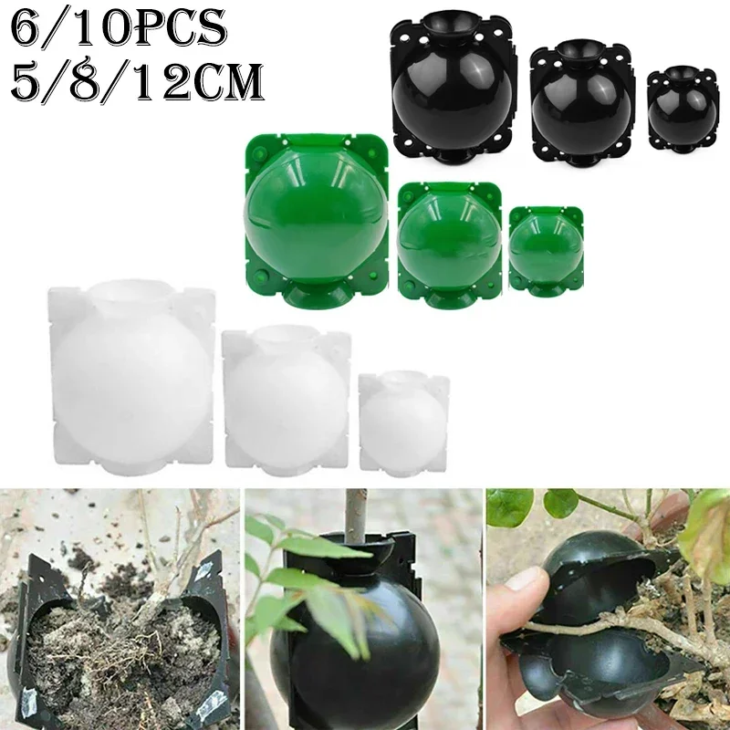 6/10Pcs Plant Rooting Ball High Pressure Graft Breeding Case Nursery Box Propagation Jardinage Plant Root Pot Garden Tool