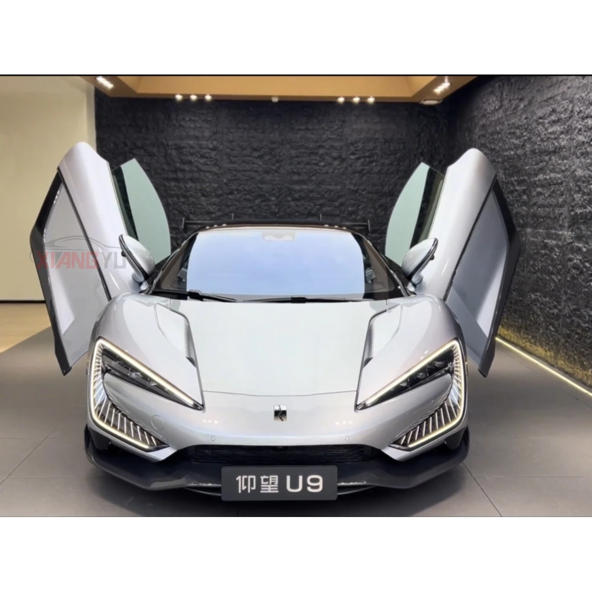 Byd Yangwang U9 U 9 Byd EV Автомобиль 2-дверный 2-местный спортивный автомобиль Byd Yang Wang Lookup Bud U9 Новый электромобиль