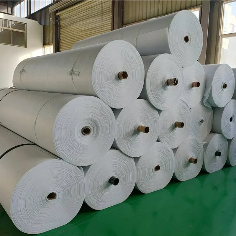 

【Best-selling】High Quality PP/Pet Polyester Staple Fiber N-eedle Punched Non-Woven Geotextile Roll for Soil Reinforcement and