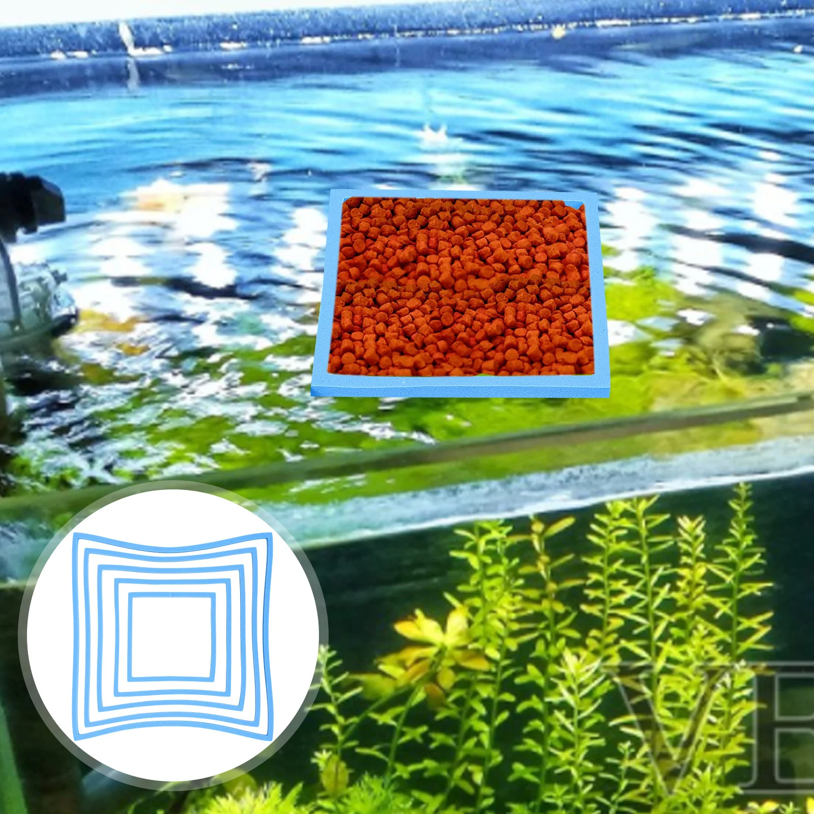 

5Pcs Aquarium Floating Plant Rings Reusable Isolation Ring Fish Feeding Holder Tank Floating Duckweed Fish Feeding Rings