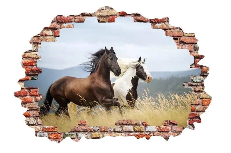 Horses With Ball In Mouth Wall Decal Art Decor 3D Smashed Sticker Poster Room Mural A-303