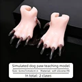 2 claws with 10nails