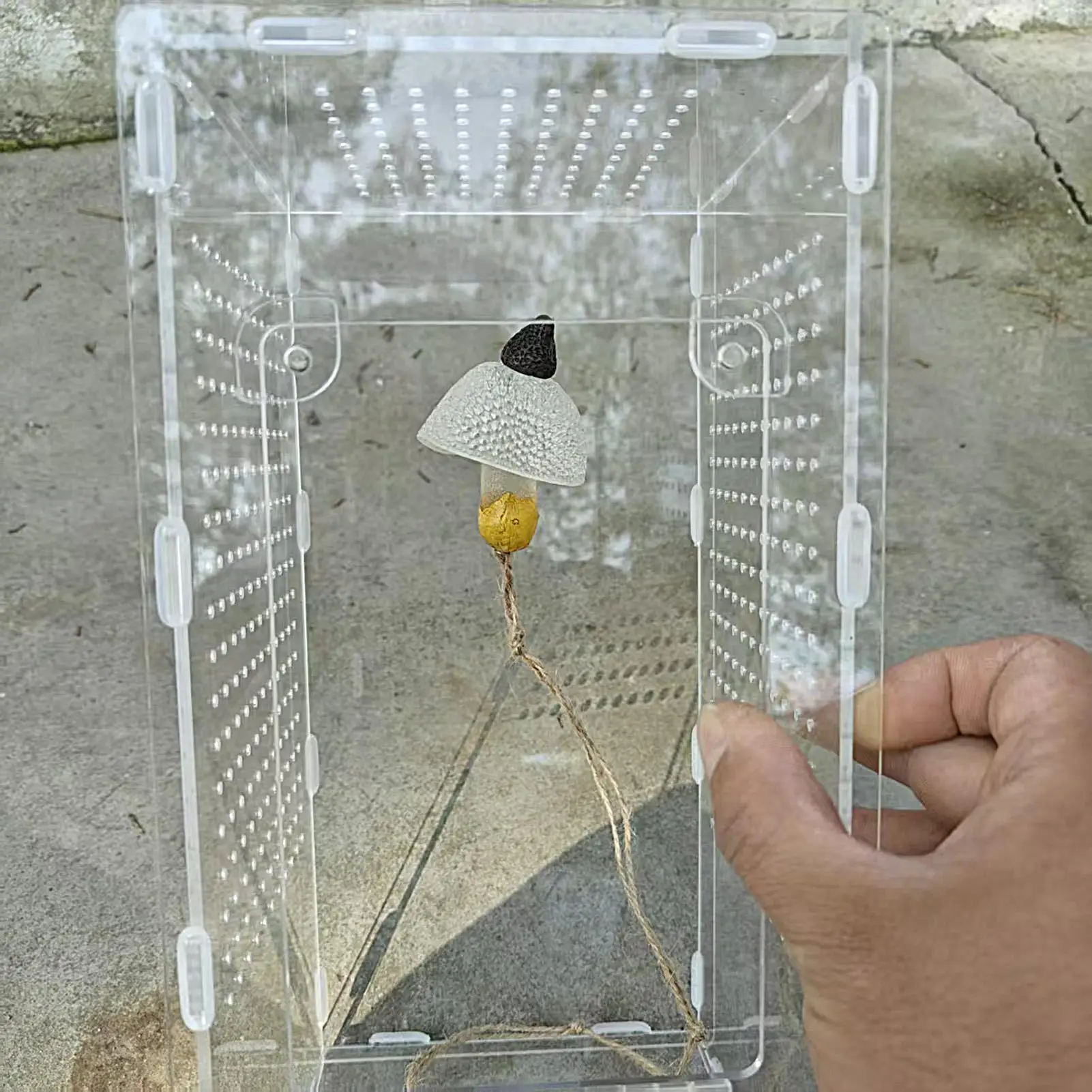 

Аксессуары для корпуса прыгающего паука, магнитный реалистичный грибной резервуар для рептилий, украшение для прыгающего паука, альпинистское украшение для