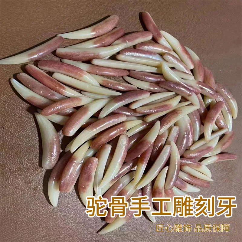 Camel Bone Hand Carved Teeth Crafts CraftsDIYOrnament Accessories Semi-Finished Products Chinese Style Jewelry Accessories Whole