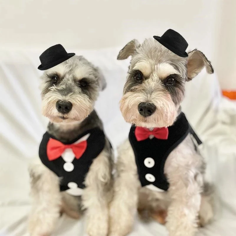 Thumbnail 3 - #64 Latest Puppy Harnesses Offers