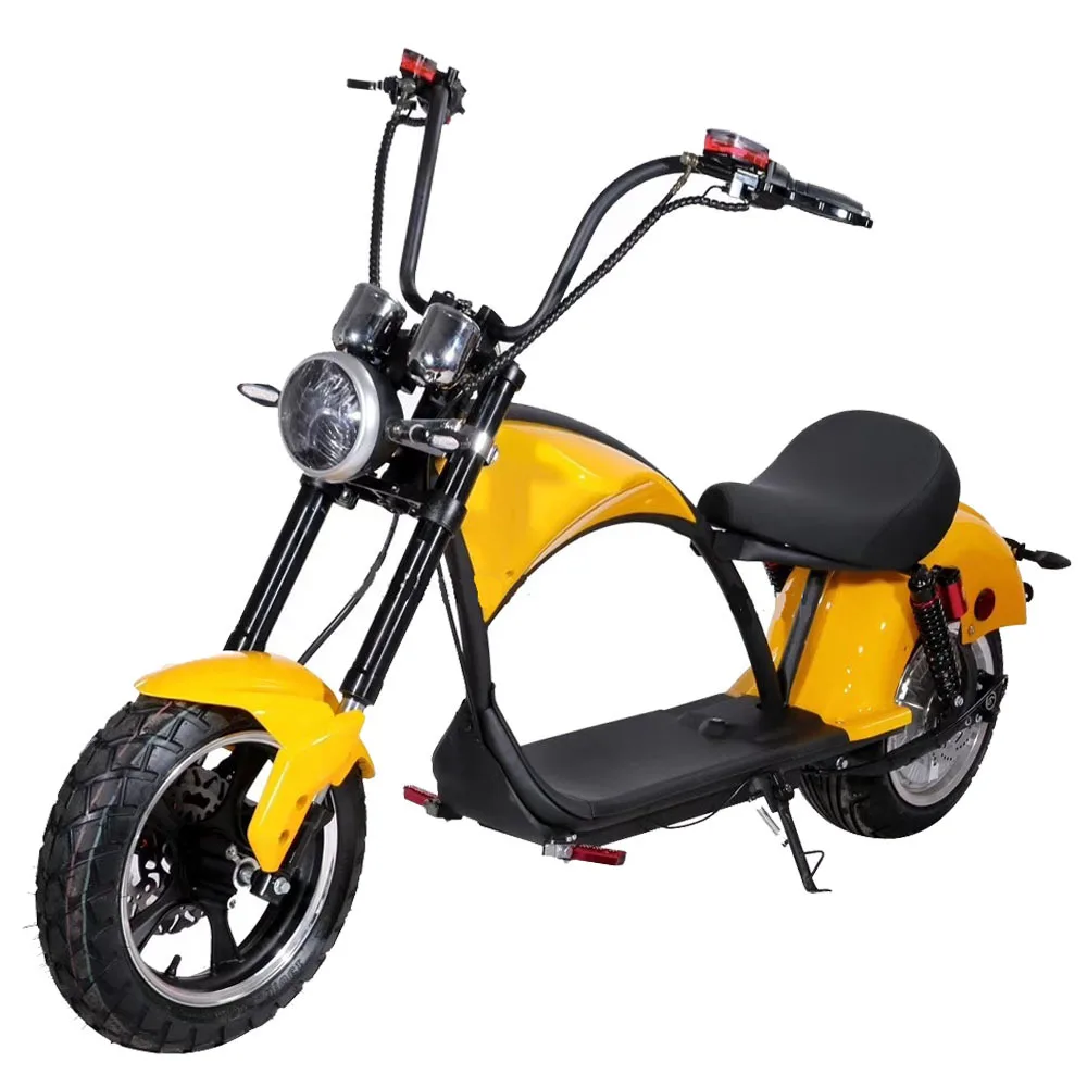 Holland Warehouse New Eec/coc Citycoco 3000w Homologation Electric Scooter With Removable Lithium Battery