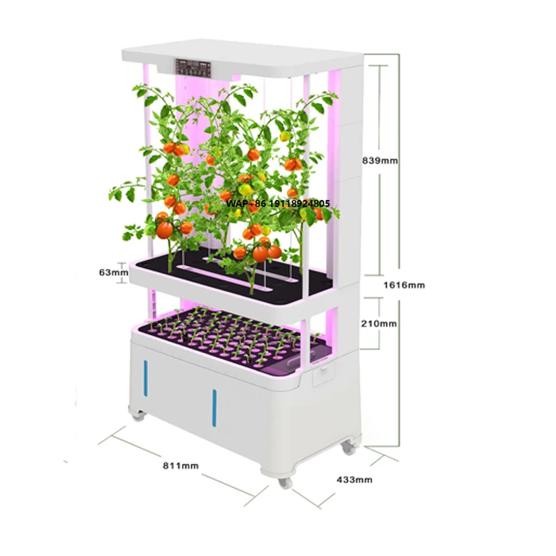 Farm Greenhouse Use Intelligent Controllable Hydroponic Grow Equipment for Vegetable and Fruit