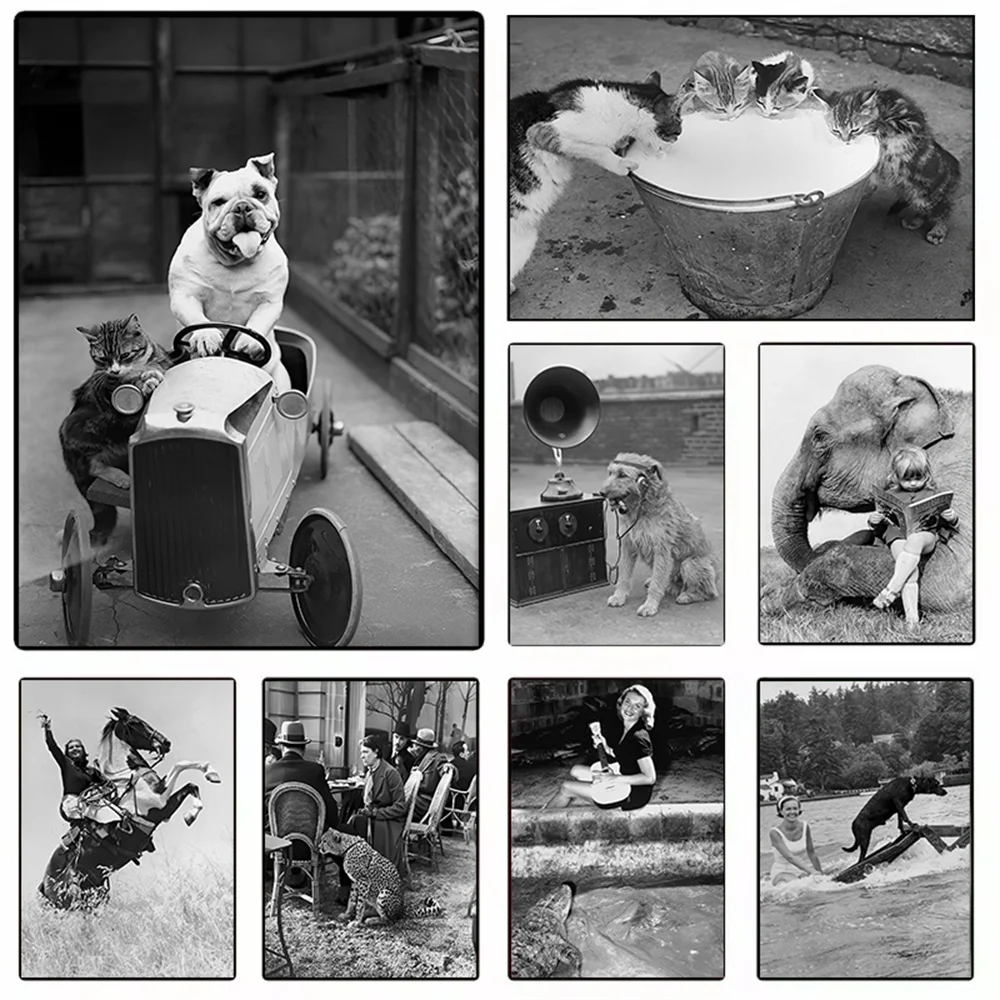 Retro Black and White Poster: Fun Canvas Print of a Dog Driving – Animal Art for Home Decor