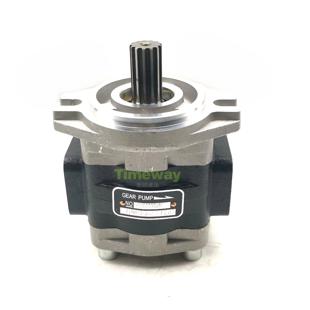 Hydraulic Gear Pump 60300000987 for Repair Lonking LG0100DTKD Forklift Oil Pump 210724003