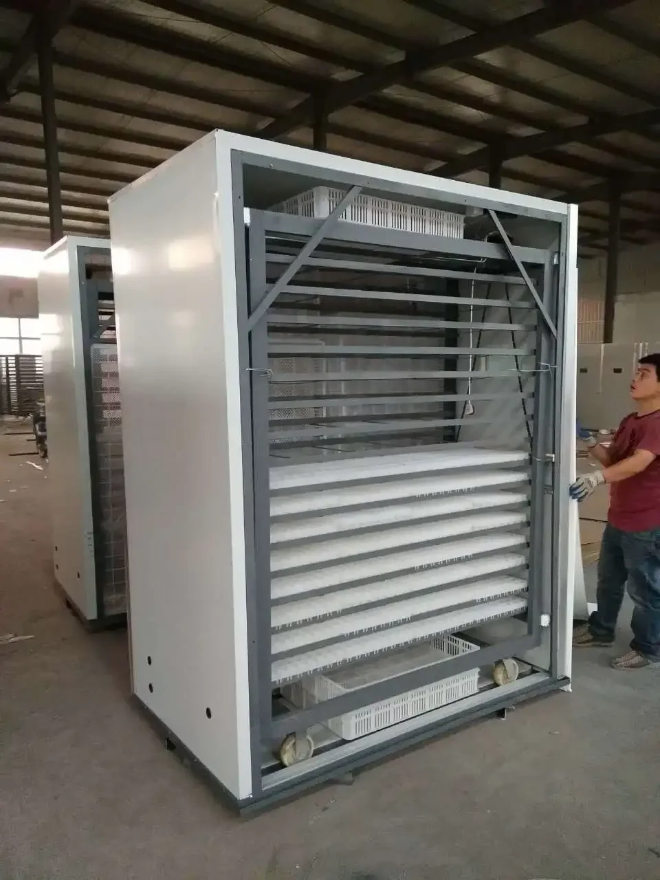 Automatic Chicken Incubator With High Hatching Rate